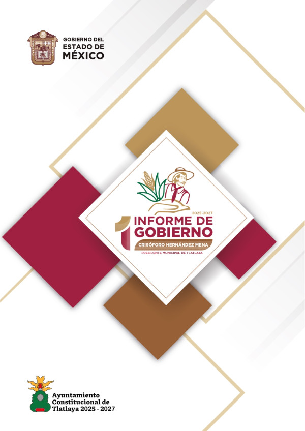 1 INFORME DE GOBIERNO