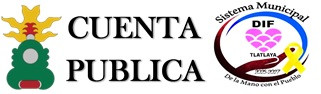 Cuenta Pública DIF