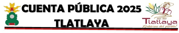 CUENTA PÚBLICA 2025